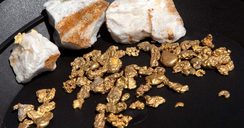 Representational image. Gold nuggets on display on April 29, 2011, in Jamestown, California. (Source: Getty Images)