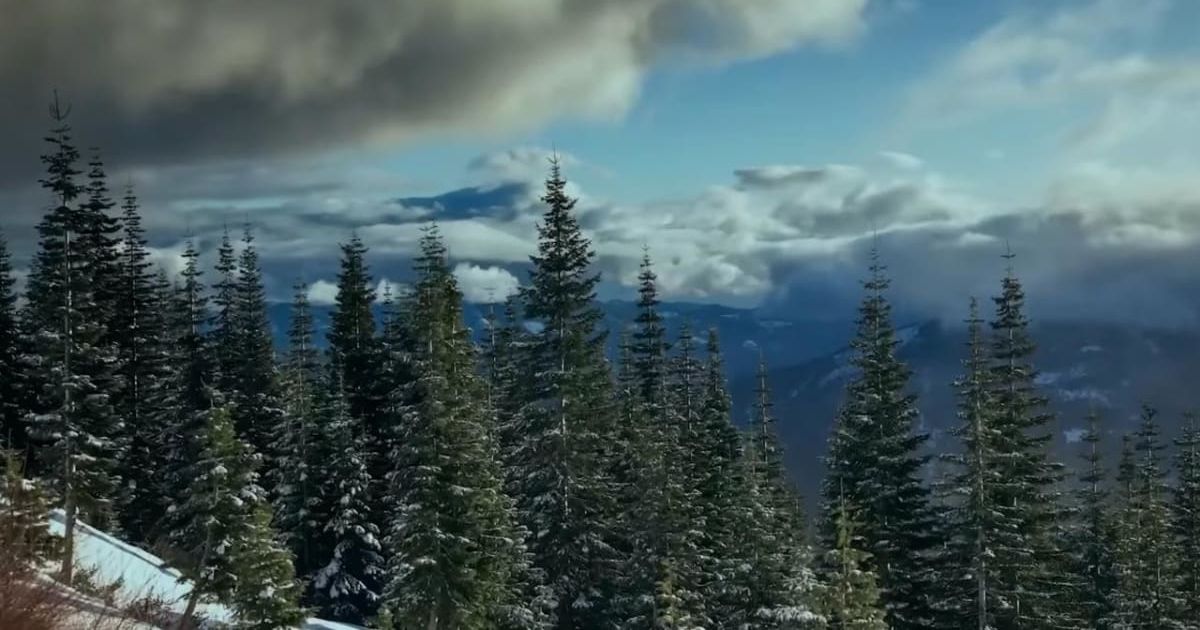 Netflix docuseries 'Files of the Unexplained' delves into the mysteries of Mt Shasta (@Netflix)