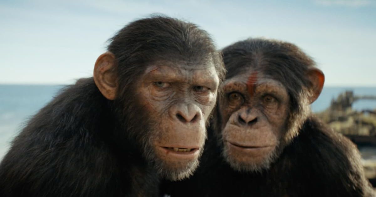 'Kingdom of the Planet of the Apes' has a story that backs up its visual magnificence (@20th Century Studios)