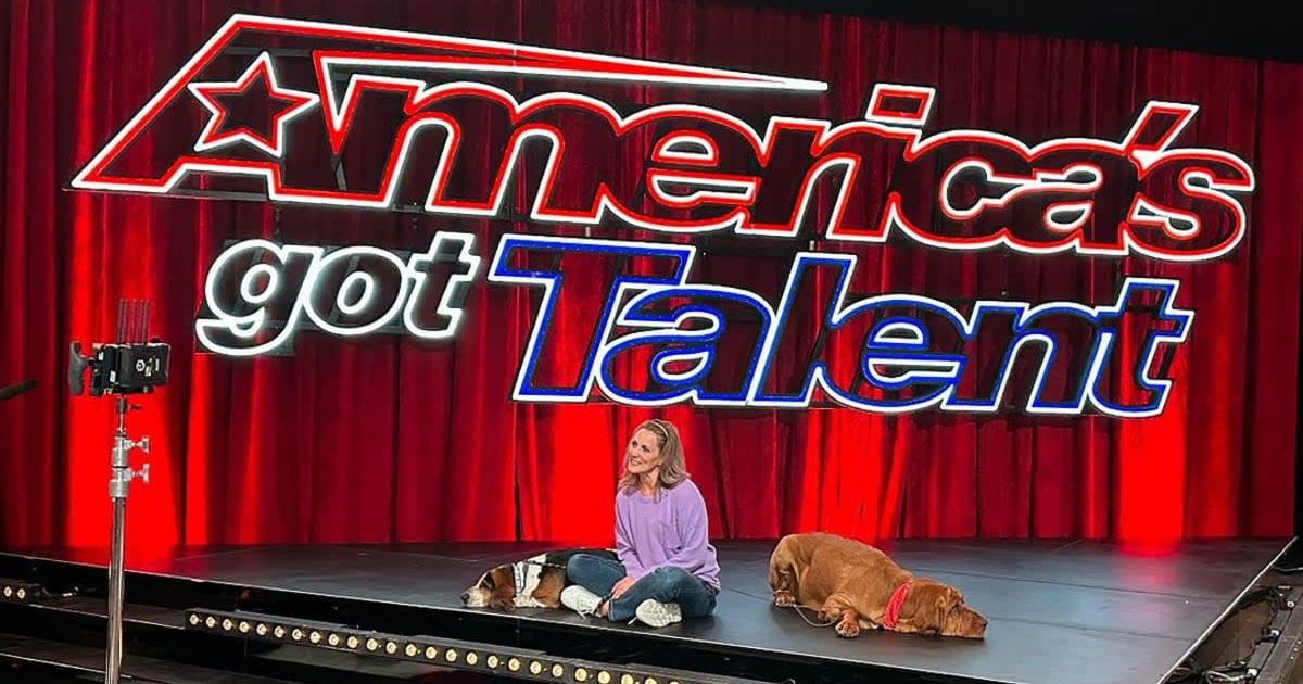 'America's Got Talent' Season 19 dogs Daisy May and Clifford reside in Chicago with their owner Amy Freese (Instagram/@hound_mommy)