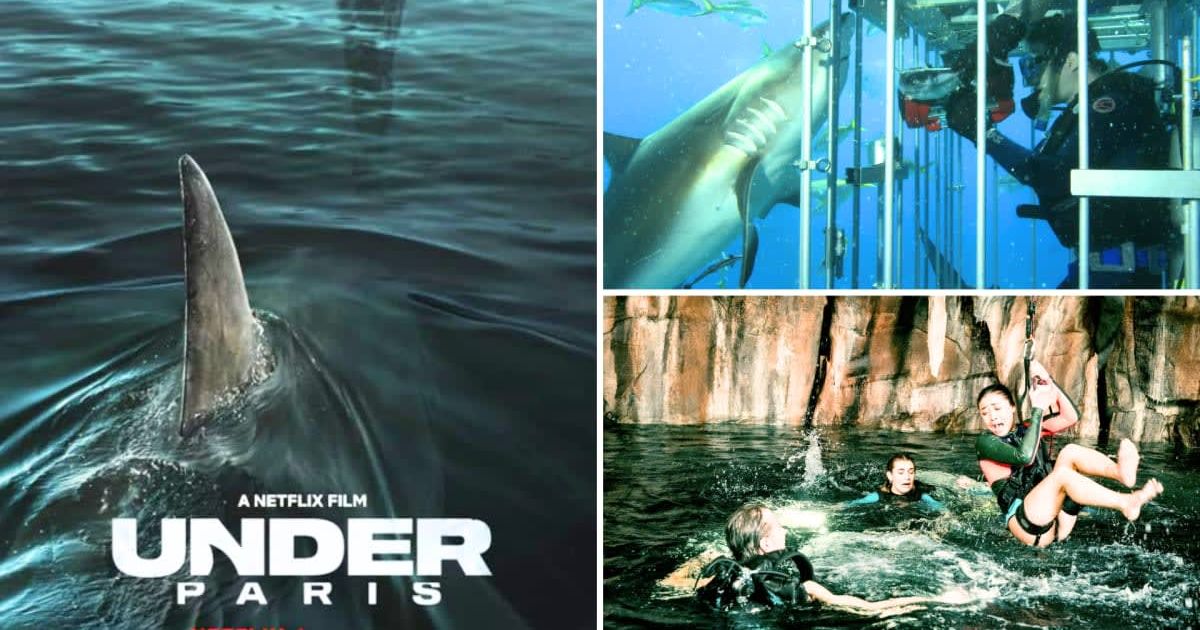If you enjoyed 'Under Paris', here are 5 shark films, from 'Open Water' to '47 Meters Down: Uncaged', to stream (@netflix, @lionsgate)