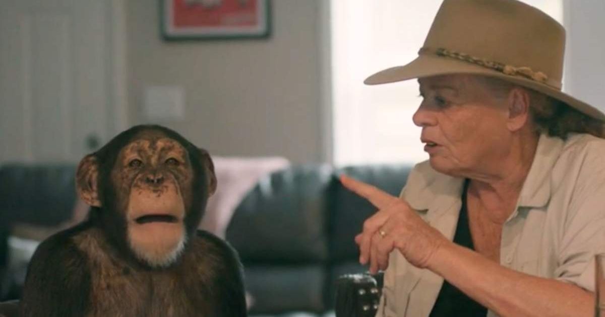 The tragic story of Hollywood Chimp, Chance, gets a mention in Eric Goode's 'Chimp Crazy' (@hbo)