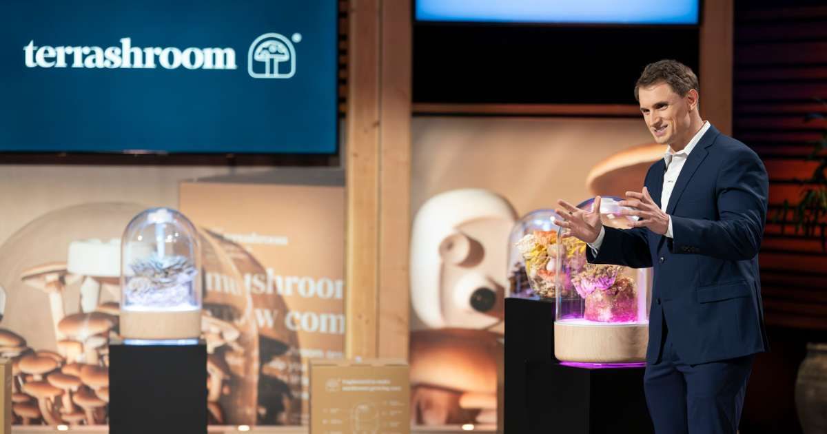Jared Steele to pitch his company of intelligent chamber that grows mushrooms named Terrashroom on 'Shark Tank' Season 16, Episode 4 (@ABC/@christopherwillard)