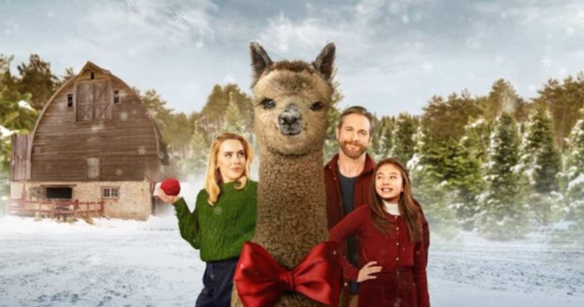 Kirsten Comerford, Matt Wells, and Ai Barrett's 'Christmas on the Alpaca Farm' is a perfect holiday movie (Lifetime)