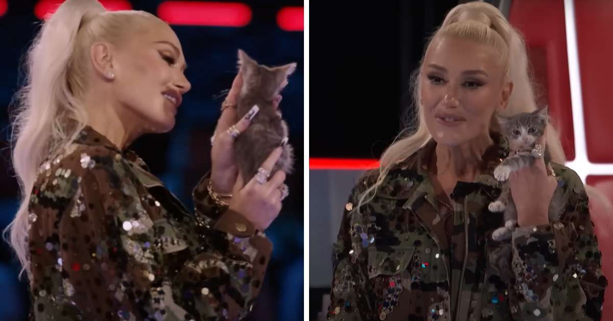 Gwen Stefani in a still from the singing reality show 'The Voice'. (Cover Image Source: YouTube | The Voice)