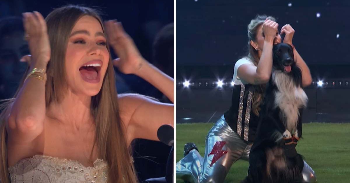 (L-R) Screenshots of Sofia Vergara, Roni Sagi, and dancing dog, Rhythm, from 'America's Got Talent' (Cover Image Source: YouTube | America's Got Talent)