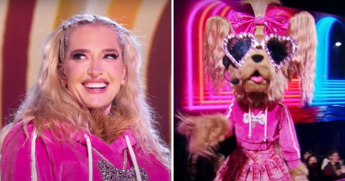 Screenshots of (L) Erika Jayne as (R) masked singer Yorkie from 'The Masked Singer' 2025 episode (Cover Image Source: YouTube | The Masked Singer)