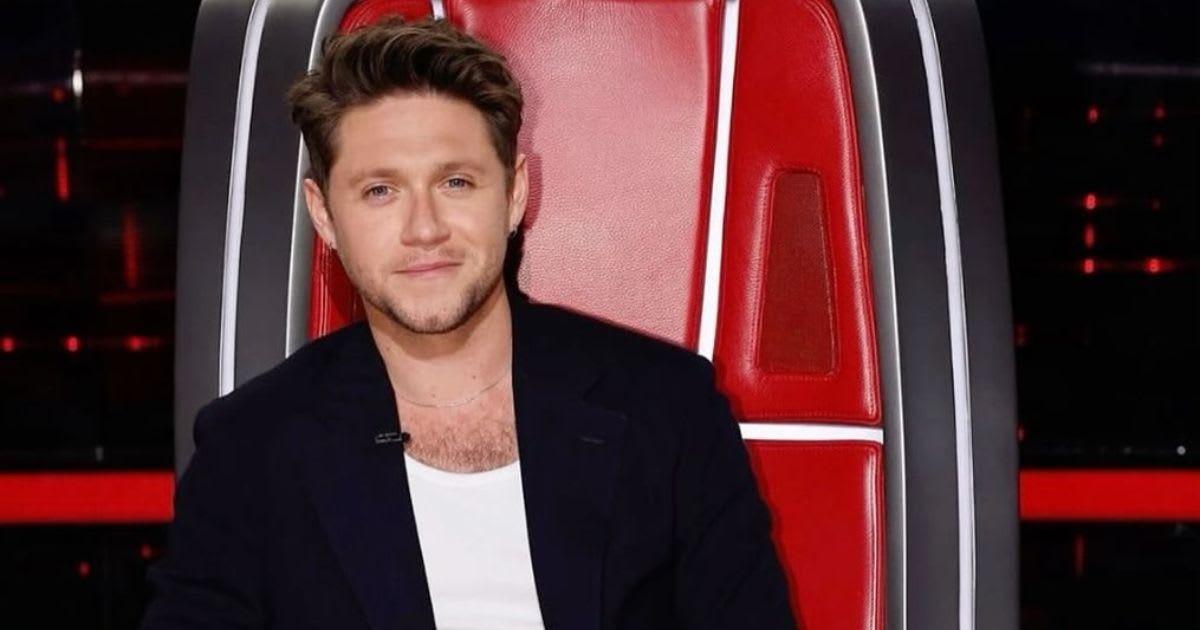 Niall Horan ' The Voice' (Cover Image Source: YouTube| The Voice)