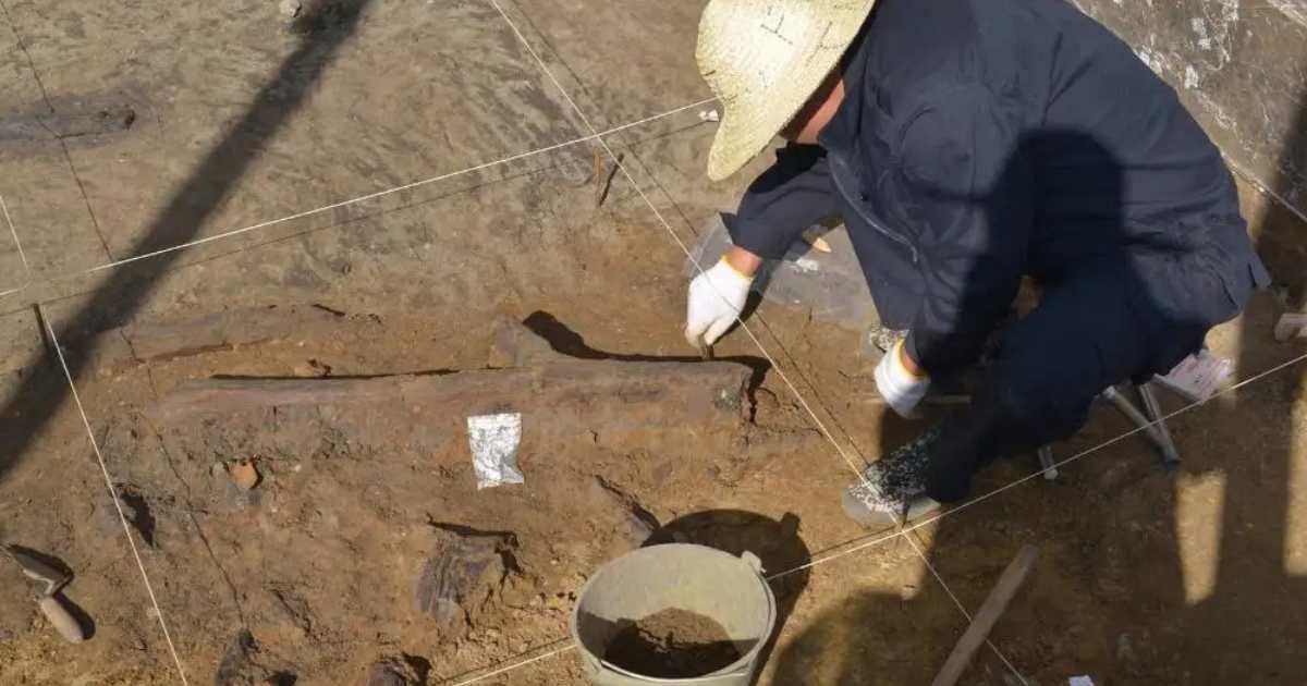 Archaeologist excavating wooden tool from the site in China. (Cover Image Source: University of Wollongong (UOW) | Professor Bo Li)