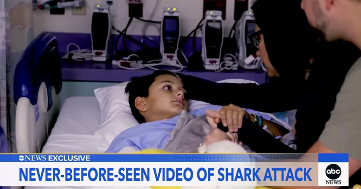 Young Boy after Shark Attack. (Cover Image Source: YouTube | Good Morning America)