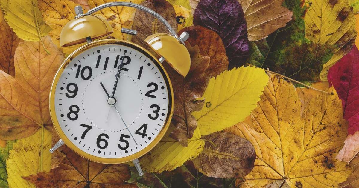 Alarm clock on. Autumn pumpkins background. Fall back concept. - stock photo
Getty Images | Photo by Carol Yepes