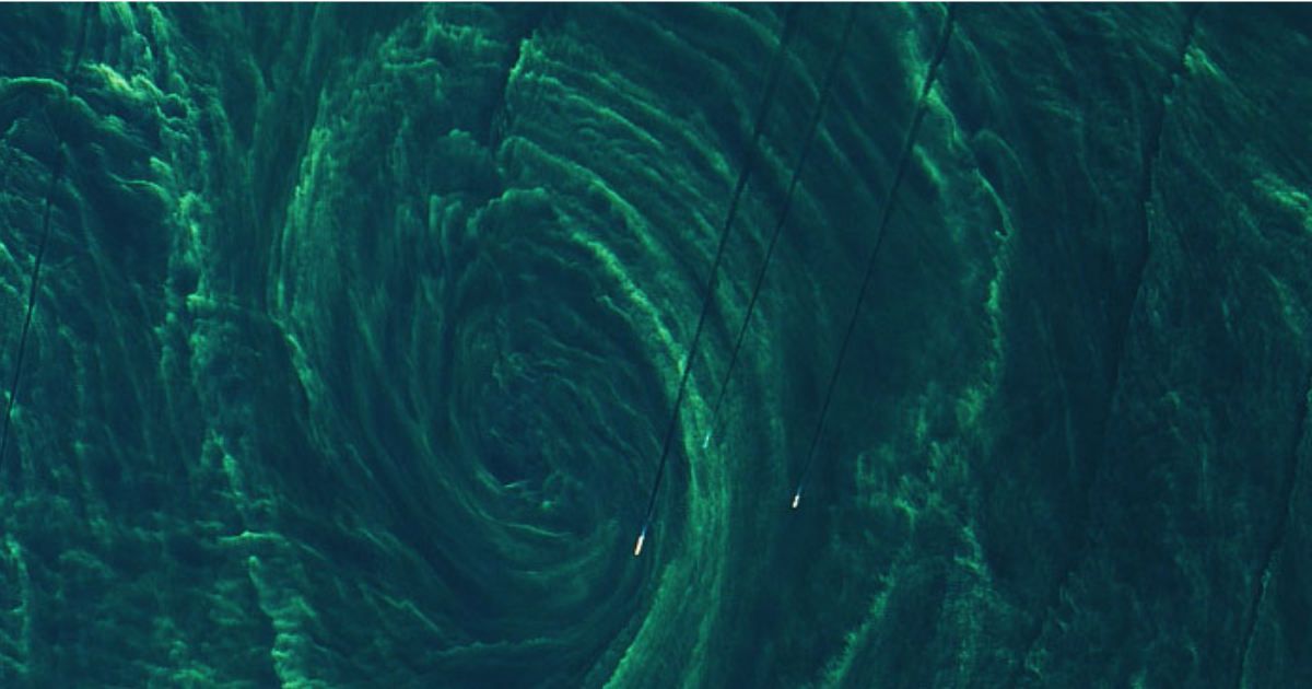 Phytoplankton Bloom captured through Landsat 8. (Cover Image Source: NASA Earth Observatory)