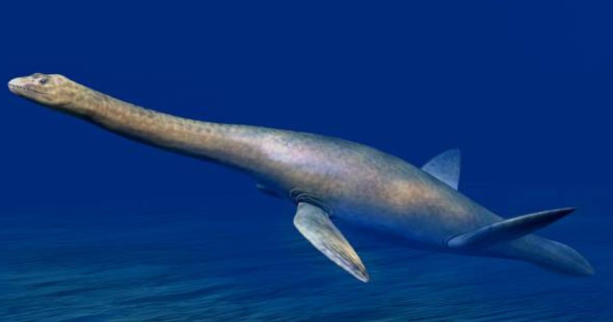 Life reconstruction of Cryptoclidus eurymerus. (Representative Cover Image Source: Wikimedia Commons | Photo by Nobu Tamura)