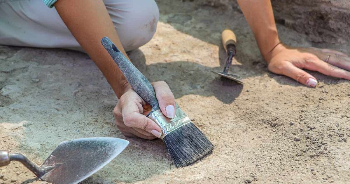 An archaeologist digging with special tools in the soil. (Representative Cover Image Source: Getty Images | Emrah Gokcan)
