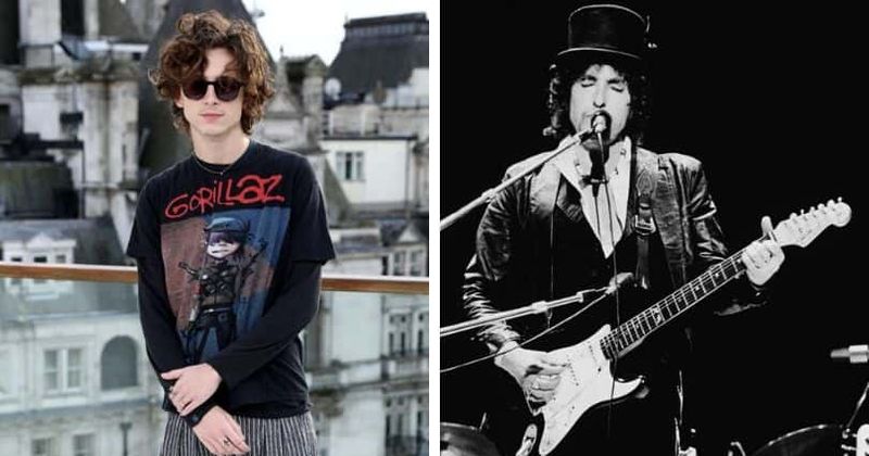Timothee Chalamet, Bob Dylan (Getty Images)