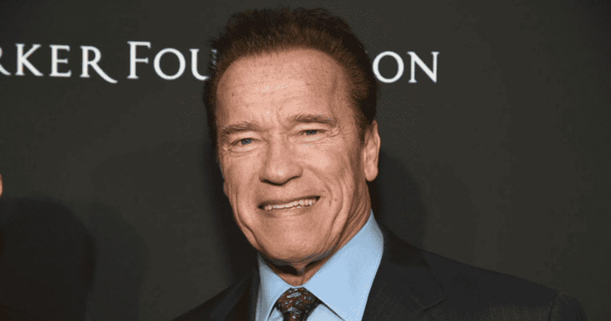 Arnold Schwarzenegger slams low turnout at LA National Cemetery for Veterans Day, mocks Trump rally 'patriots' 