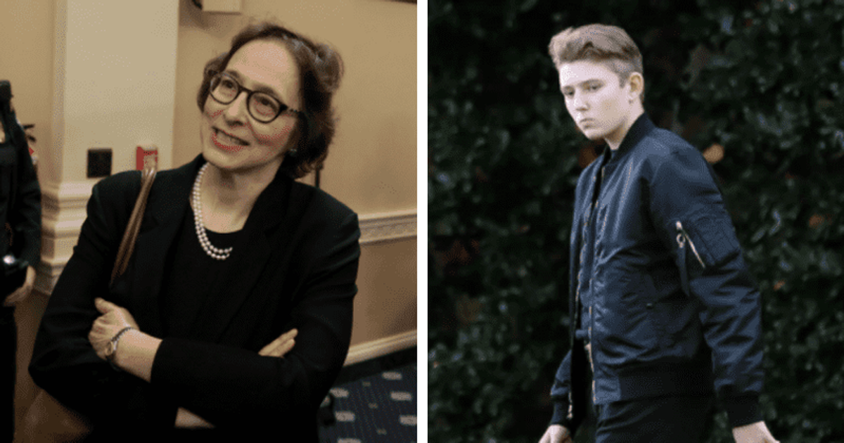 Pamela Karlan had once made remarks against Donald Trump's son Barron Trump (Getty Images)