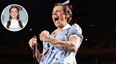 Harry Styles channels Dorothy for Halloween, fans say ‘he gets hyped for anything’ 