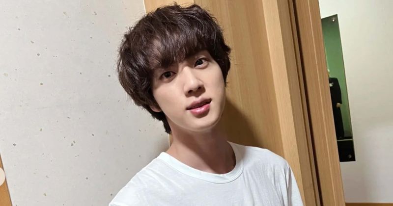 SAVAGE Jin strikes again as he mocks trolls stating, 'Y'all are always looking for trouble'