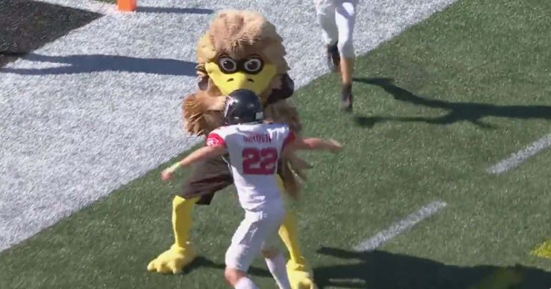 WTF! PEEWEE football gets real as Falcons mascot attacks player in bizarre scenes  