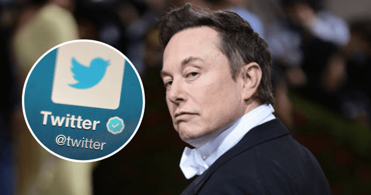 'Facts are now crude racism': Elon Musk's 'racist' tweet divides Internet as 'facts' battle rages on