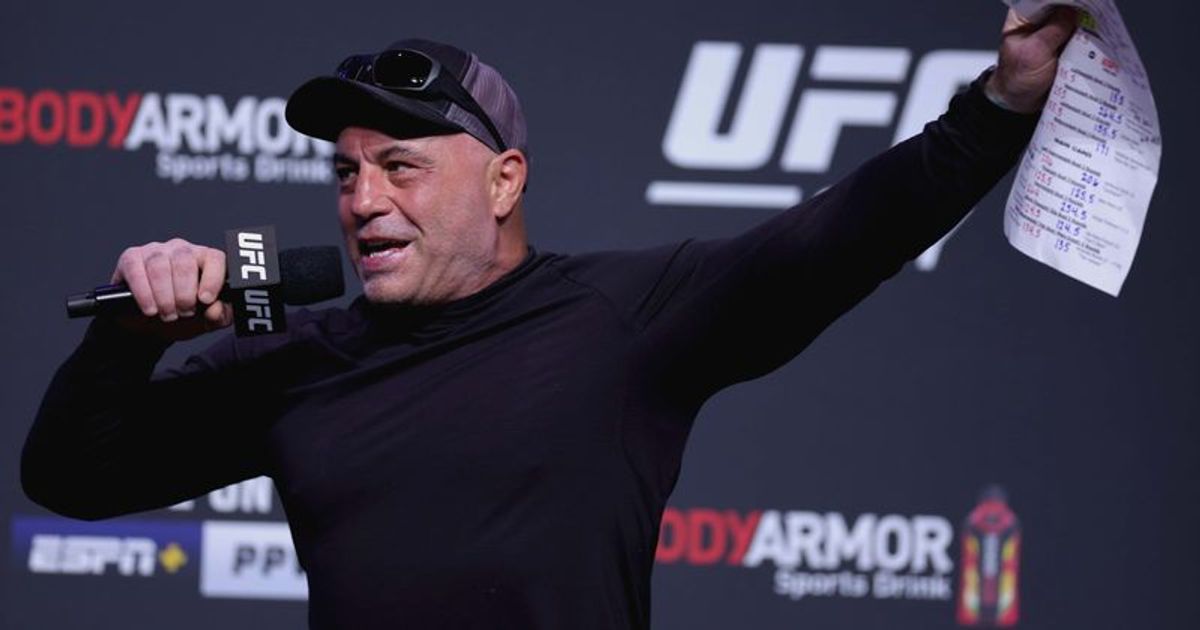 Joe Rogan later invited the UFC star on his 'The JRE' podcast  (Carmen Mandato/Getty Images)