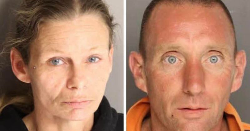 Who are Shannan McCrackin and Kenneth Swayne? Owners arrested after pit bulls  fatally attack 65-year-old man in SC