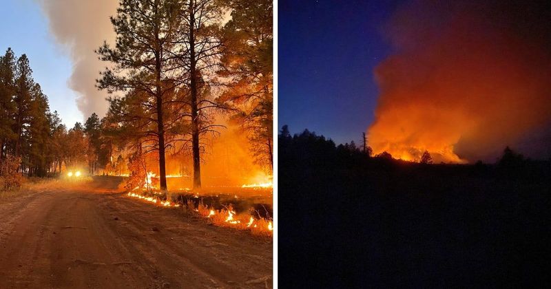 What caused the Maid Fire? Rare blaze in northern Arizona forces road closures and concern among neighboring cummunities