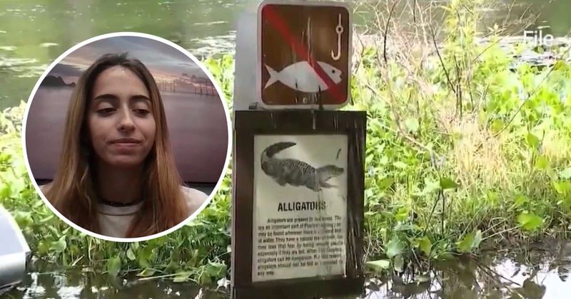 Who is Marissa Carr? Florida woman bitten in head by nine-foot alligator while snorkeling in Alexander Springs