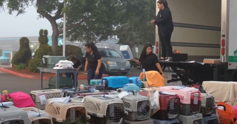 Who is Colton Jones? Humane Society of Arizona fears man may have killed 200 missing small animals for reptile feed