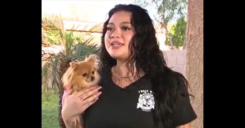 Princess returns: Stolen pomeranian reunites with Arizona family after vanishing during brunch more than 5 years ago