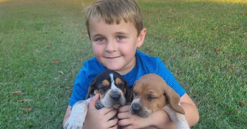 Avery Davis: South Carolina boy, 6, tragically dies after being shot in a hunting accident by 17-year-old