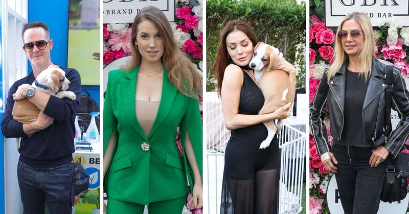 IN PICTURES: Angela Bassett and Brian Cox join Hollywood who's who at Pooph’s Critics’ Choice Lounge