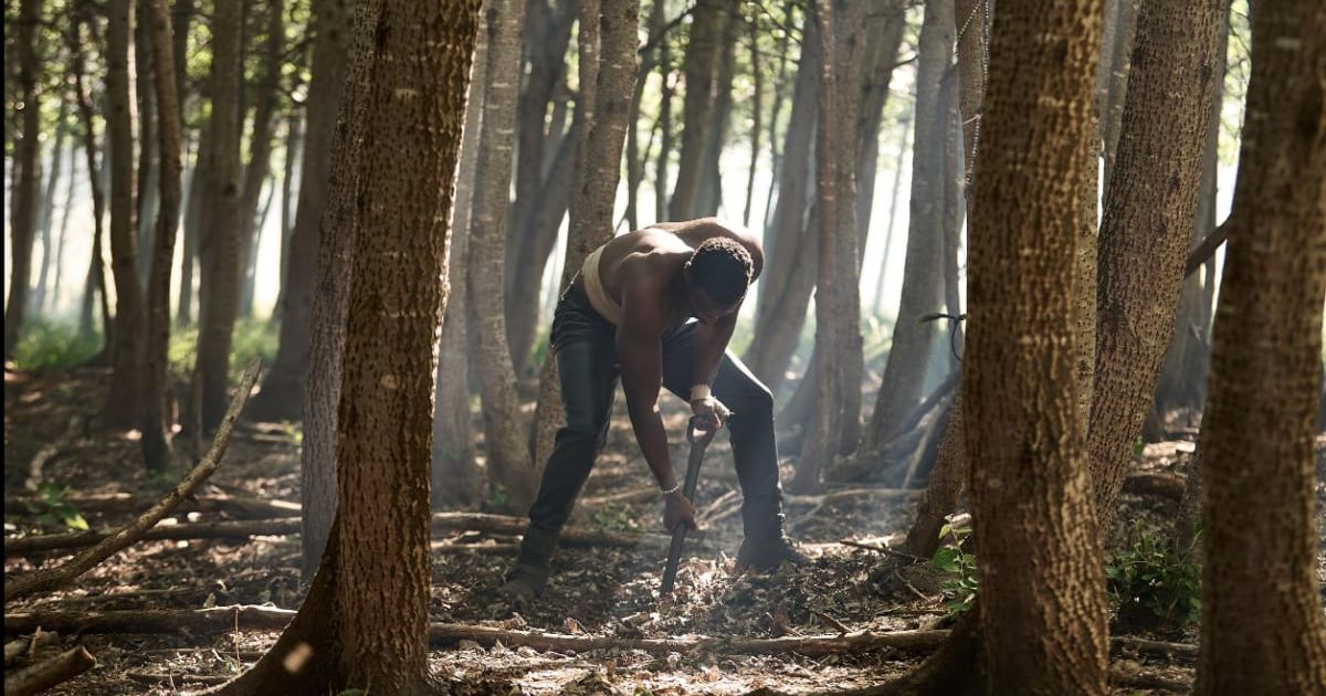 'Heart of the Hunter'(2024) air date, full cast, plot and how to stream Netflix's South African spy thriller