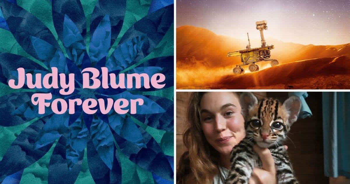 From 'Wildcat' to 'Good Night Oppy,' here are 5 best thought-provoking documentaries on Prime Video