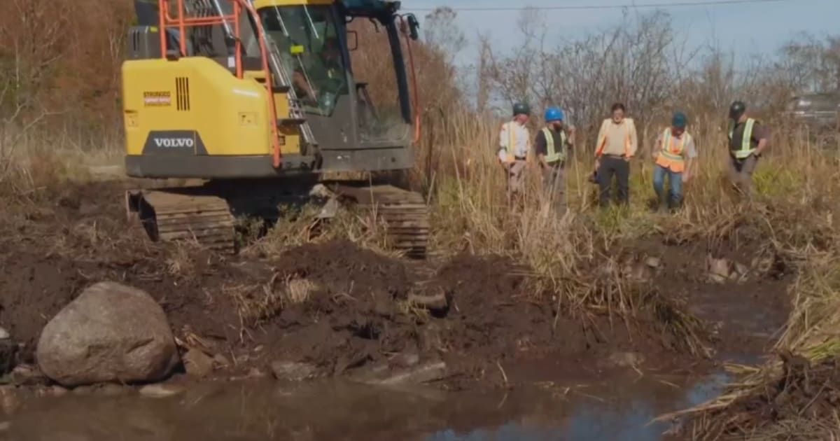 Internet dubs 'The Curse of Oak Island' team's newest discovery of man-made stone structure 'just a puddle'