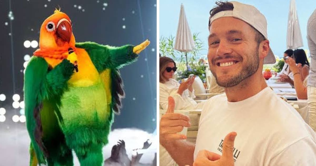 'The Masked Singer’ Season 11: 'Bachelor' star Colton Underwood revealed as lovebird in transformers night