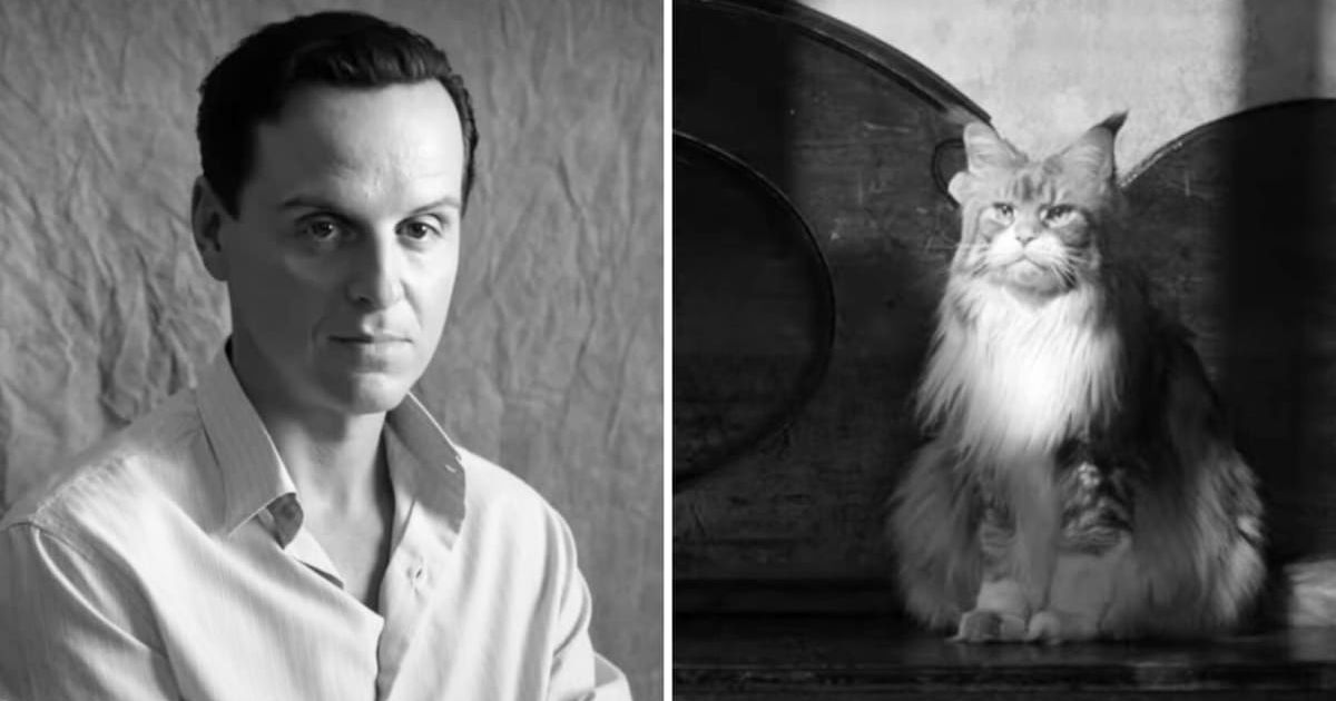 Ripley's 'fan favourite' character Lucio steals the show with 'Oscar-worthy performance' in Netflix series