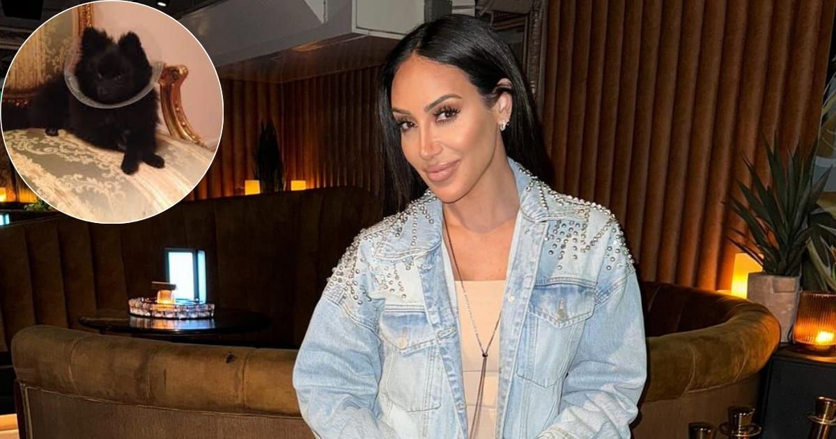 Where is Melissa Gorga's dog? 'RHONJ' star responds to concerned fans demanding update on black pomeranian 