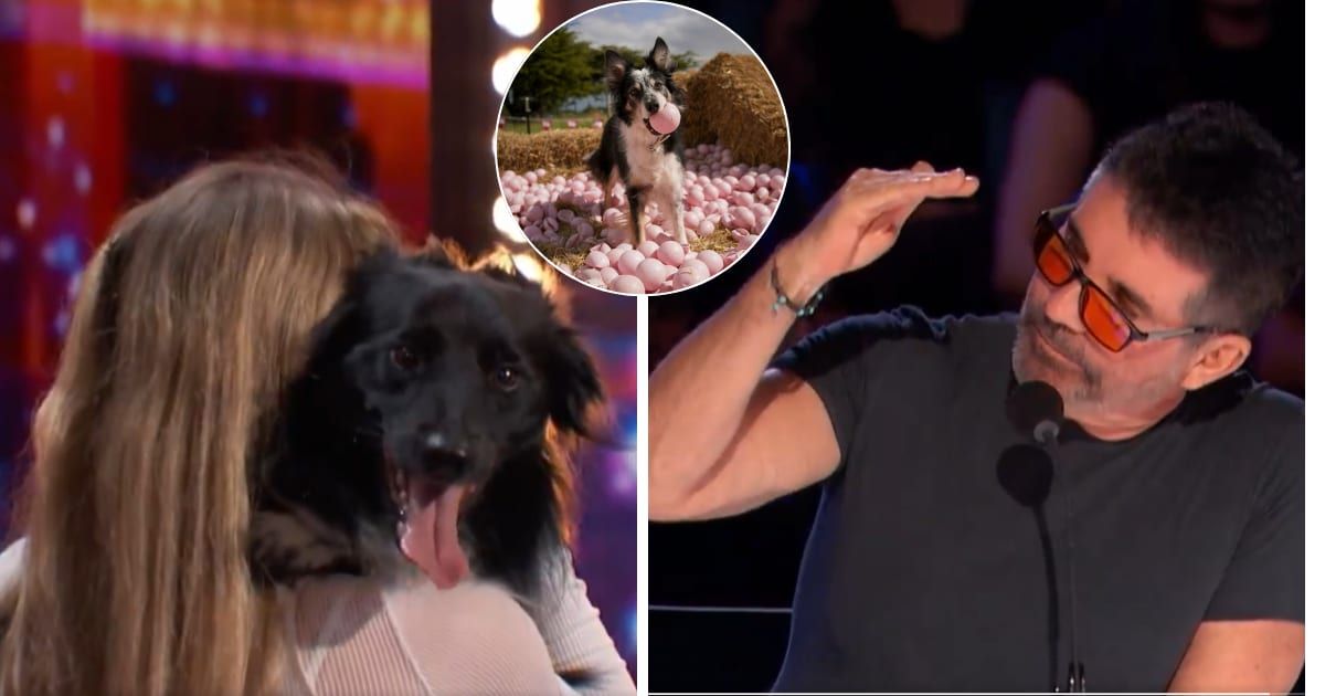 Simon Cowell slammed for calling Roni Sagi & Rhythm act better than former 'AGT' winner Hurricane (@nbc/Instagram/aadrianstoica.dogcoach)