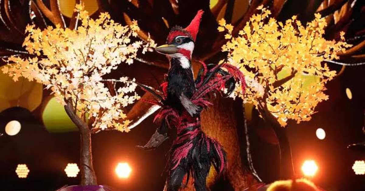 'The Masked Singer’: Who was the Woodpecker? Nick Cannon gets it spot on