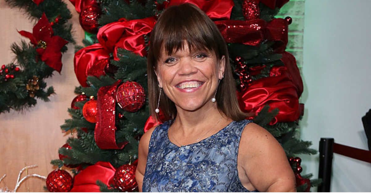 Amy Roloff opens up about the future of ‘Little People, Big World’ after season 25: "My family and I..."