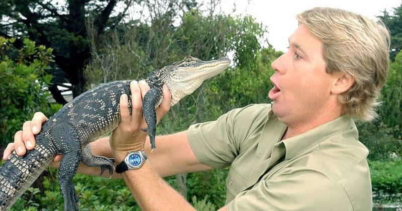 Cameraman who witnessed Steve Irwin’s tragic death reveals his final words: "I'm dying..."