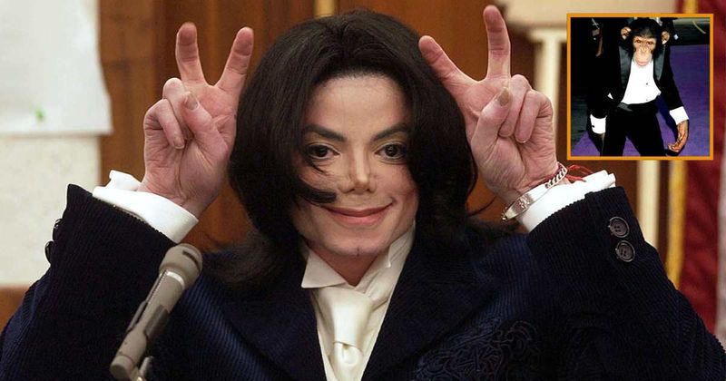 'The Office' star recalls traumatic moment she was bitten by Michael Jackson's chimpanzee: "He took my..."