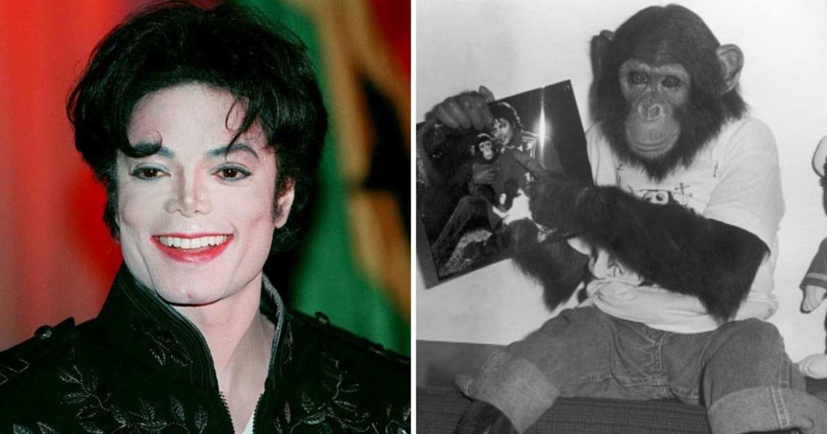 (L) Michael Jackson attends a charity event November 1, 1995 for Africa; (R) Portrait of Bubbles dressed in jeans and a t-shirt,in Tokyo, Japan, 1987 (Cover Image Source: (L) Online USA| Andrew Shawaf; (R) Getty Images | Hulton Archive)