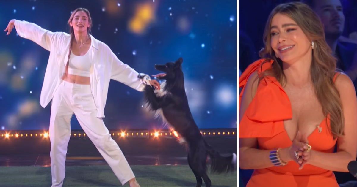 Sofía Vergara had one request after this adorable dancing dog stole the show on ‘AGT’: ‘I'll give...’