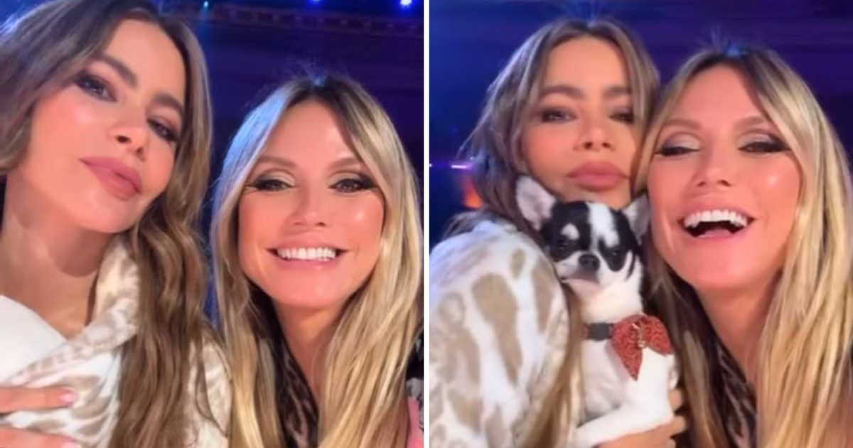 Sofía Vergara brought a someone special to ‘AGT’ — and fans have never been so impressed