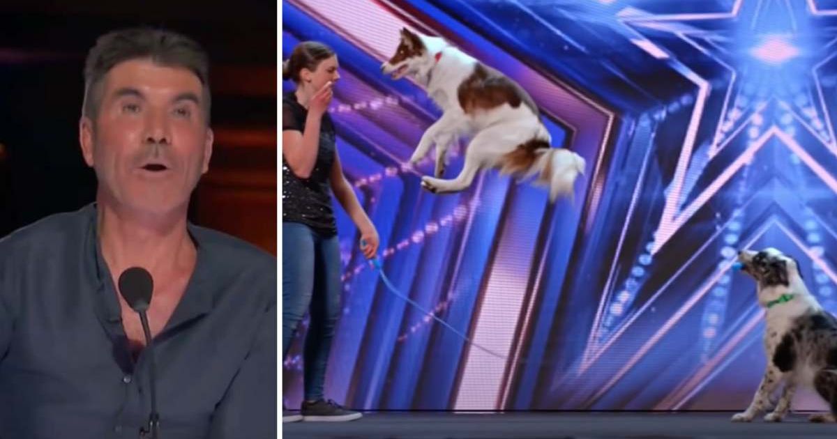 Just when you thought this ‘AGT’ dog act couldn’t get cuter, a surprise guest showed up and melted hearts