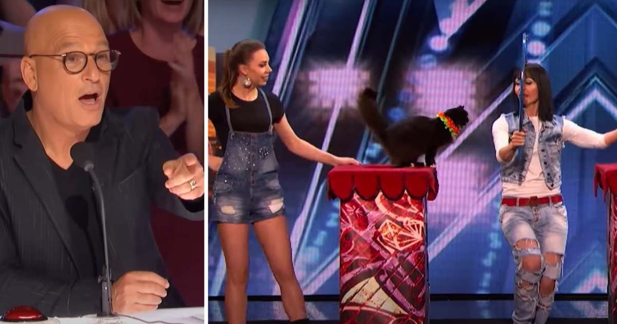 This acrobatic cat group on ‘AGT’ just proved two things: they’re talented, and they call the shots