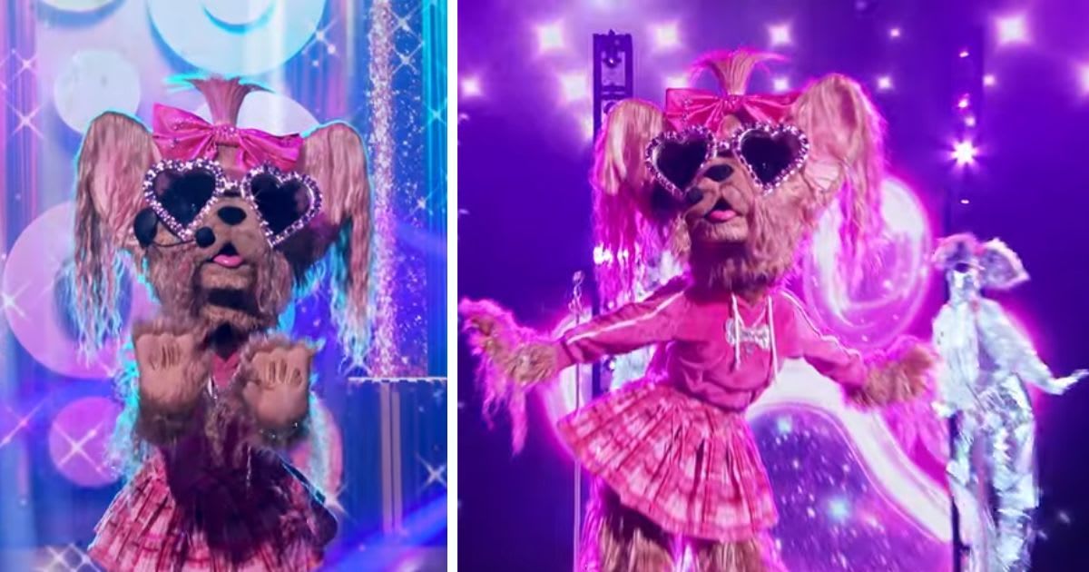 This ‘Real Housewives’ star stunned as Yorkie on ‘The Masked Singer’ — and nearly had a breakdown backstage